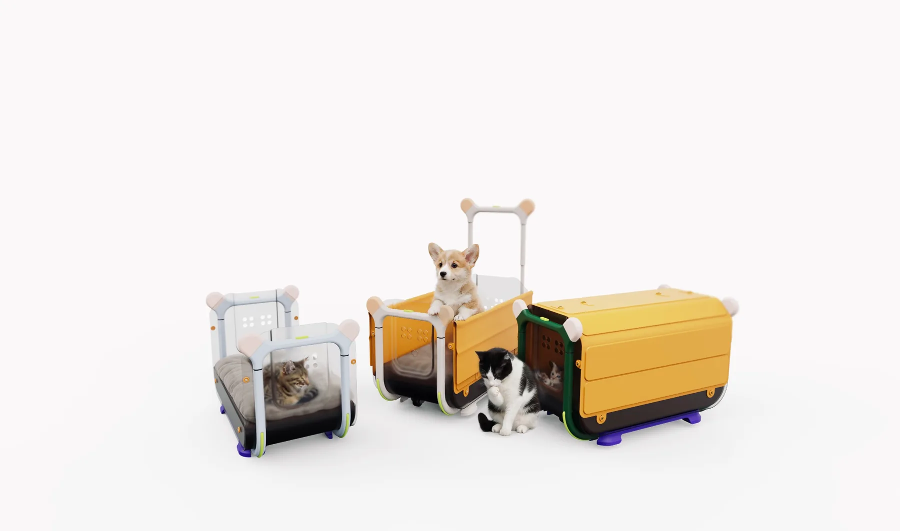 Modular pet carrier configurations with a puppy and cats